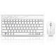 Wireless Keyboard Set RAPOO 8000M, White