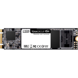 SSD Team Group MS30 M.2 2280 256GB SATA III 