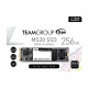 SSD Team Group MS30 M.2 2280 256GB SATA III 