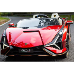Lamborghini Sian 24V two-seater battery car with opening doors soft tires 4x4