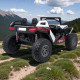 Battery-powered two-seater UTV off-road jeep, 4x4, 24V, 690W, with MP4 & MP3 player