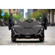Lamborghini SIAN 24V 7Ah 2-Seater Electric Ride-On Car with Drift Function – 1200W